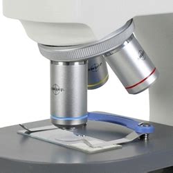 microscope ocular lens|Objective Lens vs Ocular Lens .